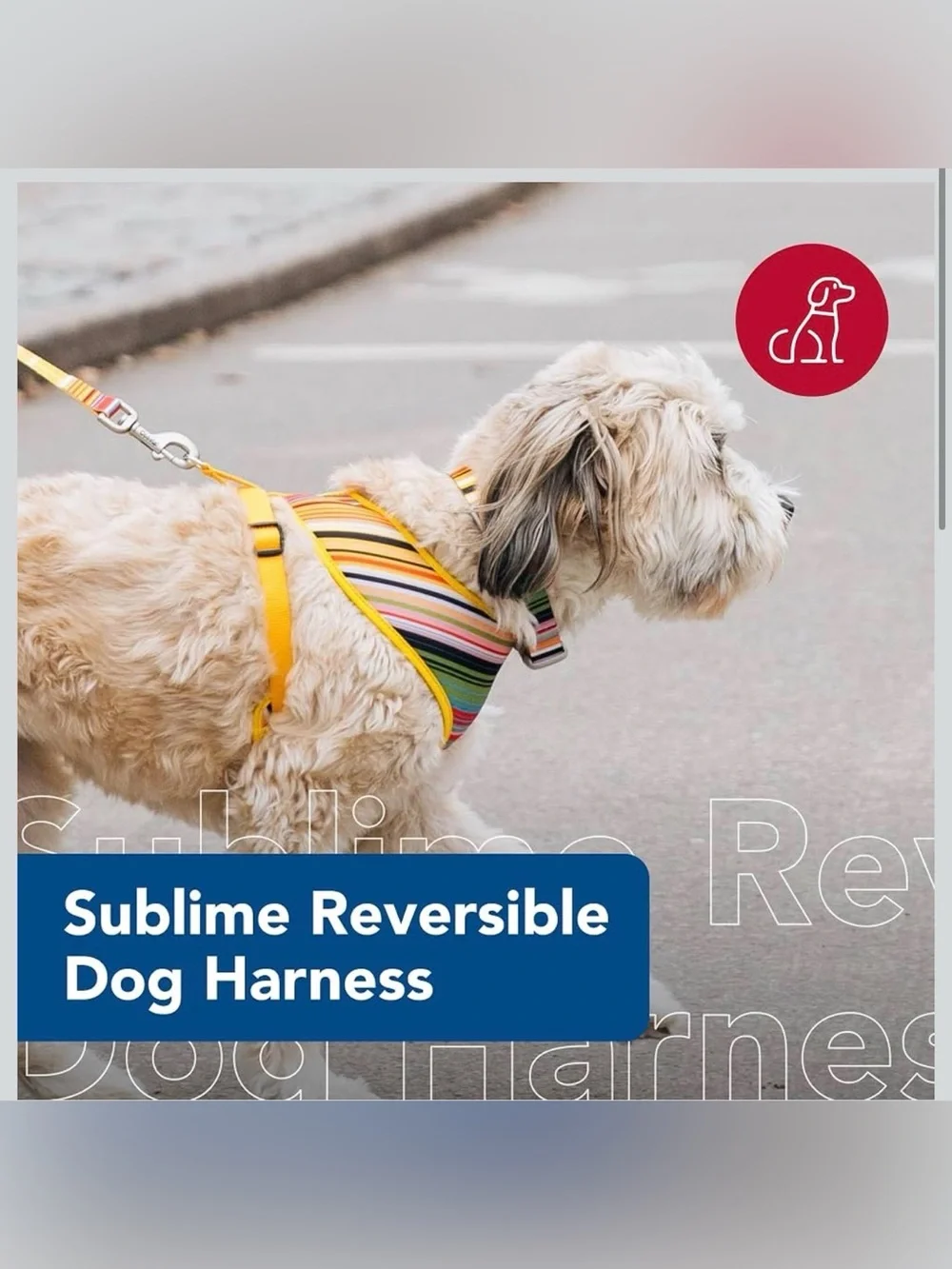 NWT Coastal Pet Sublime Reversible Dog Harness - Adjustable Fit MEDIUM